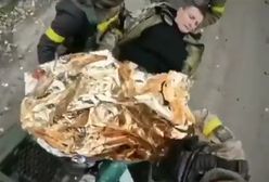 Wojna okiem ukraińskiego medyka. Niewiarygodne, co robią na froncie