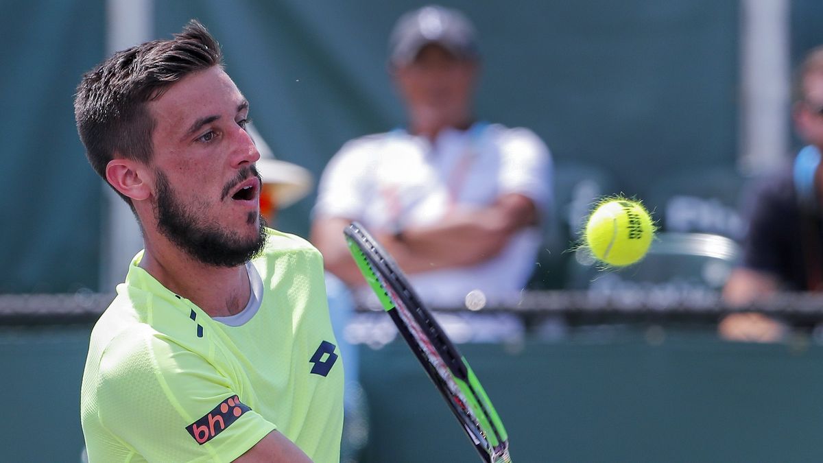 Damir Dzumhur