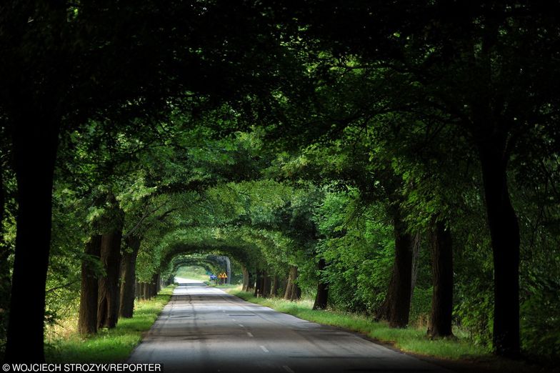 Nowe drogi w Polsce. Unia wyłoży ponad 400 mln zł na te w Polsce wschodniej