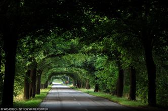 Nowe drogi w Polsce. Unia wyłoży ponad 400 mln zł na te w Polsce wschodniej