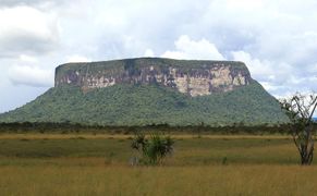 Polsat Viasat Nature HD Ekstremalne wyzwanie Steve'a Backshalla