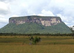 Polsat Viasat Nature HD Ekstremalne wyzwanie Steve'a Backshalla