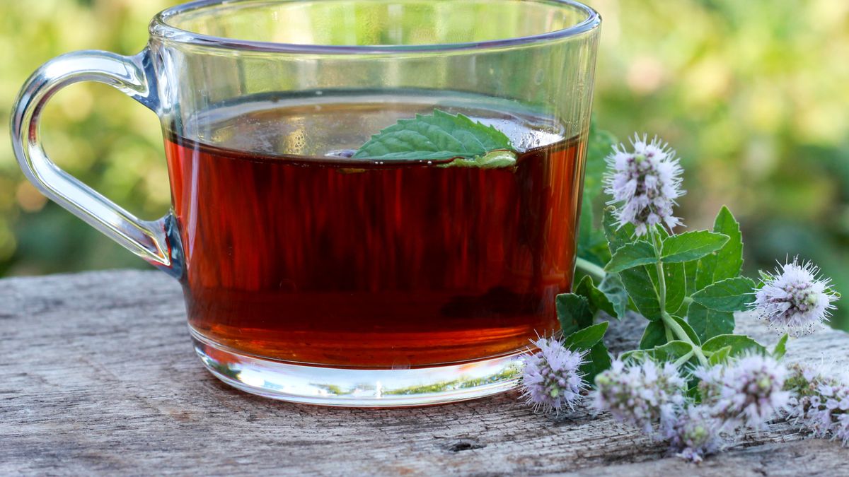 Dodaj do herbaty gałązki mięty. Szybko ugasi pragnienie