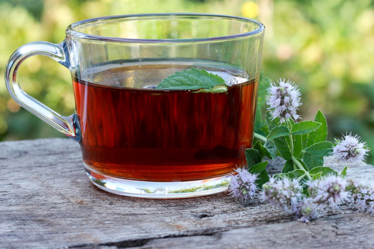 Die perfekte Erfrischung: Minztee als Sommergetränk
