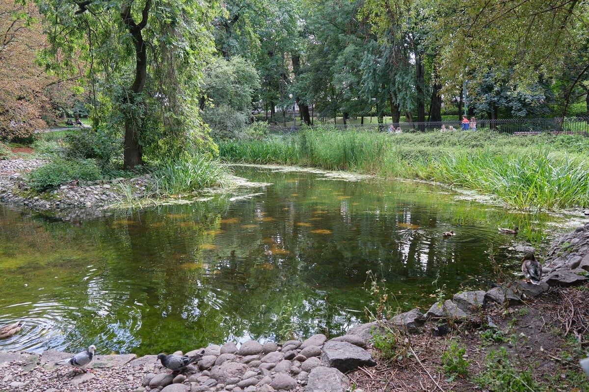 Sadzawka w Ogrodzie Saskim