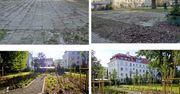 Warszawa się zazielenia. Beton ustępuje miejsca drzewom i ogrodom