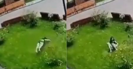 Wypadła z 13. piętra. To, co stało się później wprawia w osłupienie