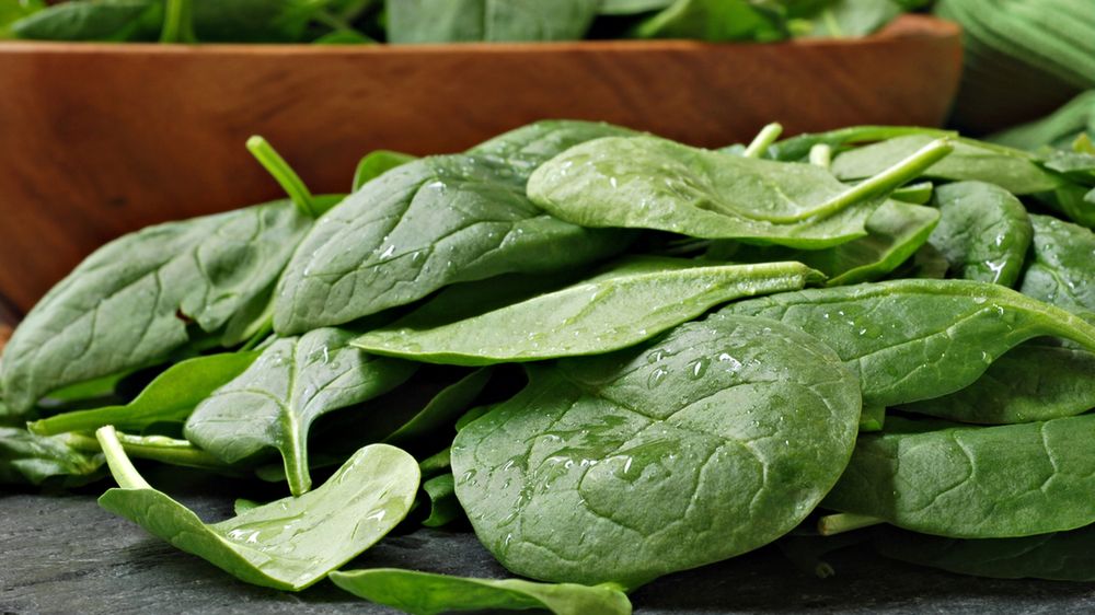 Gotowany szpinak nowozelandzki bez dodatku soli, odsączony