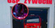 Striptiz w remizie. Wybuchła afera. Dyrekcja podstawówki reaguje