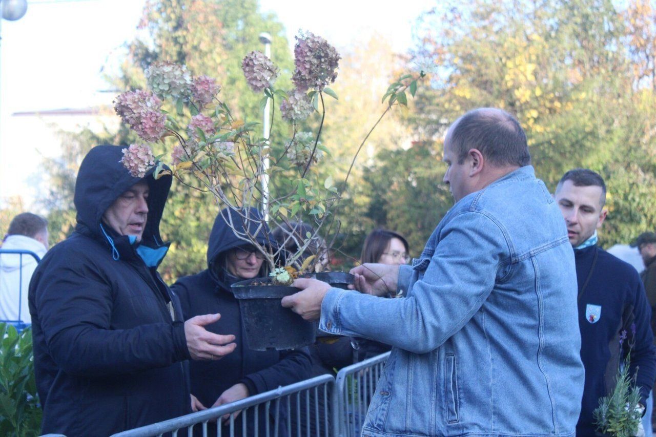 Tak było podczas akcji &#34;Drzewko za makulaturę&#34; w Bełchatowie w 2024 roku