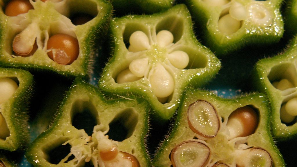 Gotowana okra (róża chińska) bez dodatku soli, odsączona