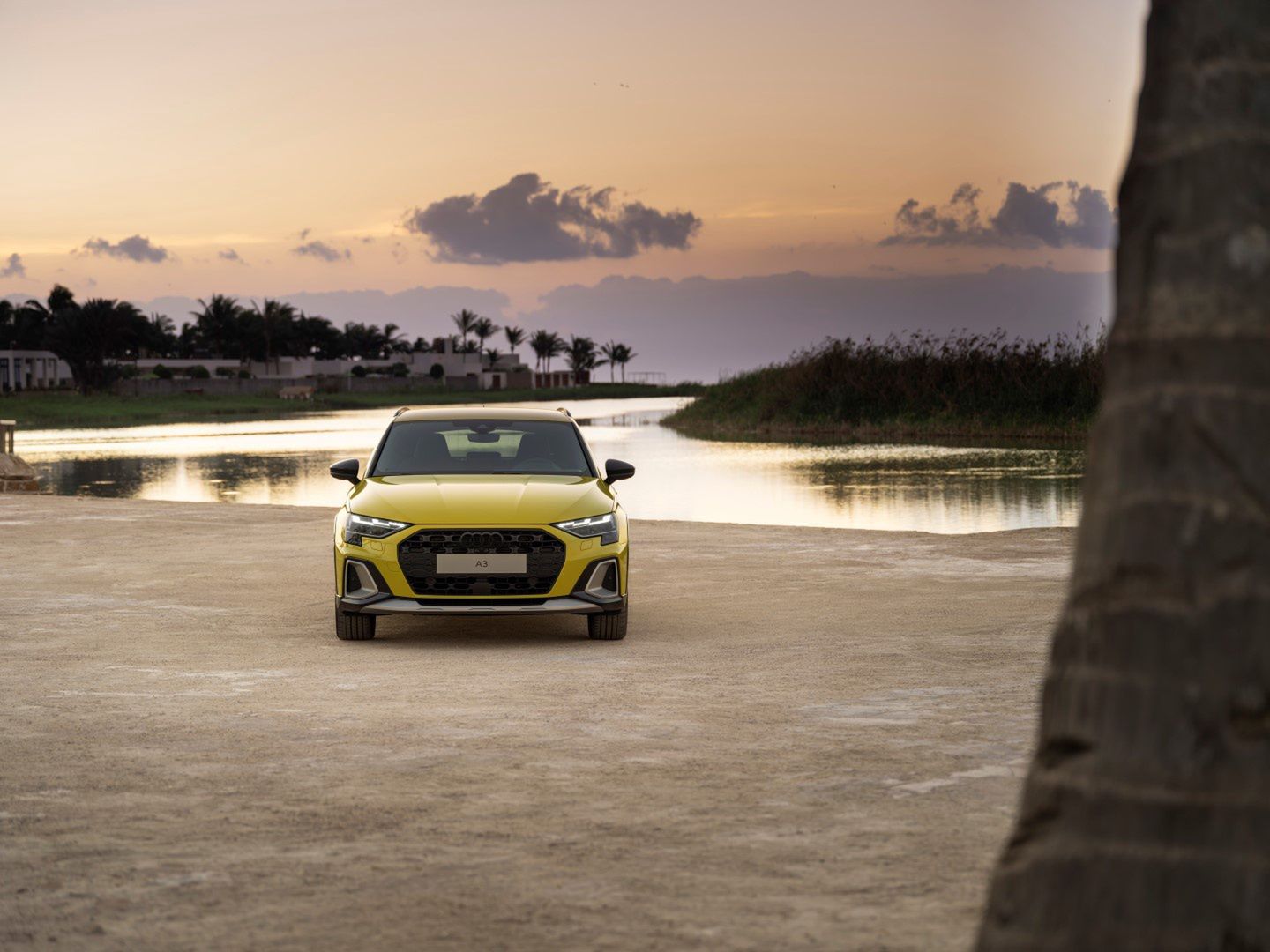 Static photo,
Colour: python yellow