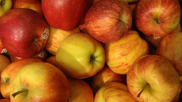 Właściwości jabłek 1