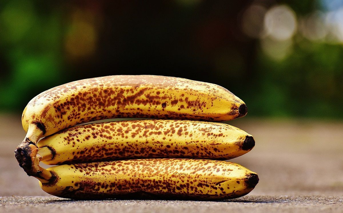 Jak przechowywać banany? Fot. Pixabay