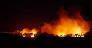 Pożary w Chorwackiej Dalmacji: strażacy walczą z żywiołem