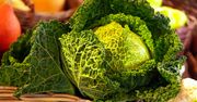 Rośnie liczba producentów ekologicznych zarówno w Polsce, jak i innych krajach Unii. Wciąż jednak jest to ułamek produkcji rolnej