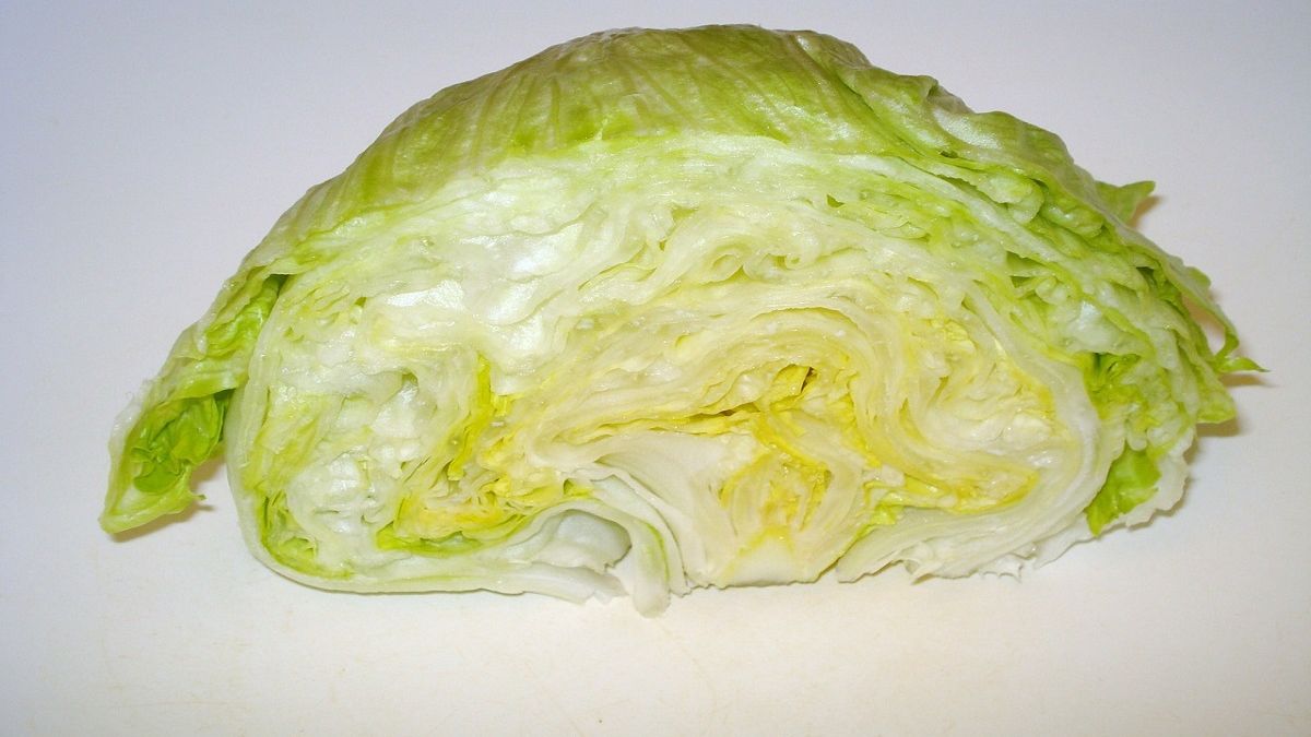 Sałata lodowa. Fot. Pixabay