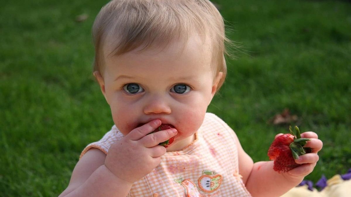 Truskawki - takich owoców nie podawaj dziecku. Fot. Pexels