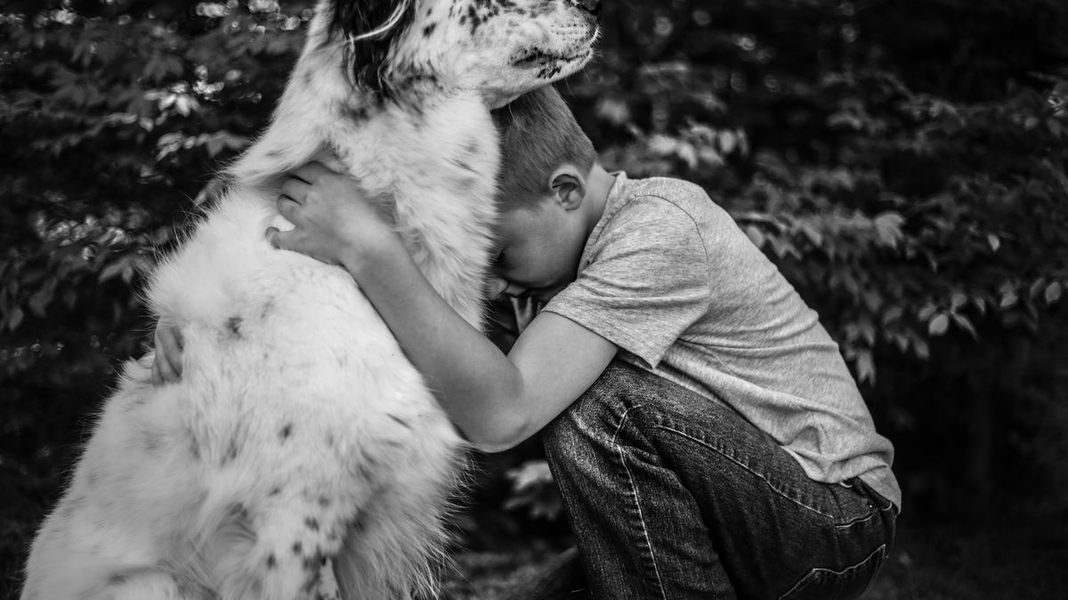 Kiedy przyjdzie się pożegnać. Trudna fotografia odchodzących zwierząt 1