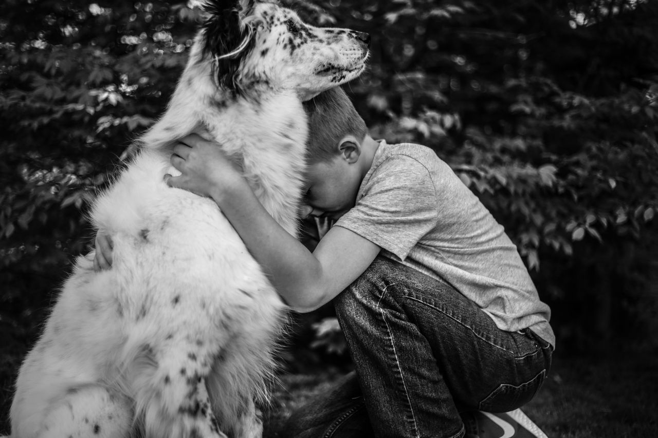 Kiedy przyjdzie się pożegnać. Trudna fotografia odchodzących zwierząt