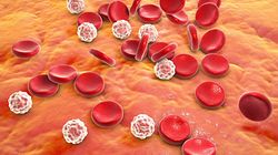 Leukocyty - rodzaje, funkcje, nadmiar, niedobór