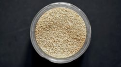 Wpływa na serce, kości, cholesterol. Małe ziarenka kopalnią zdrowia