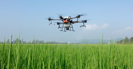 W ANS w Pile kształcić będą pilotów bezzałogowych statków powietrznych