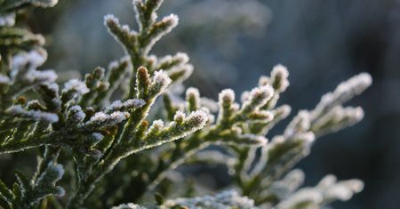 Przymrozki nadciągają: IMGW ostrzega Polskę