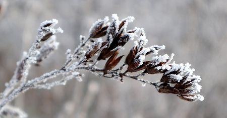Sobota z mrozem i opadami. W górach spadnie nawet w 15 cm śniegu