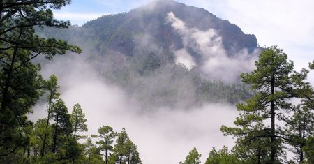 La Palma: Tysiące ewakuowano z powodu pożaru na Wyspach Kanaryjskich