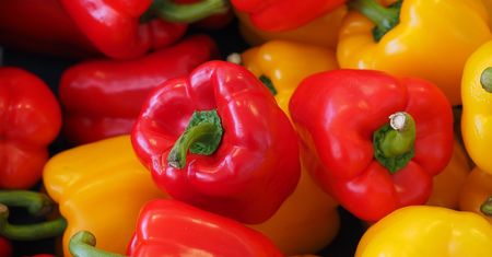 Produkcja papryki w Polsce na skraju opłacalności. Szkodzi nadmierny import i polityka cenowa dużych sieci handlowych