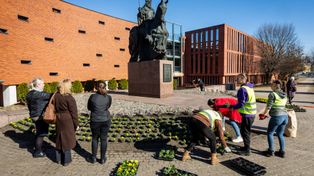 Bydgoszcz: Król Kazimierz został wypucowany na swoje imieniny