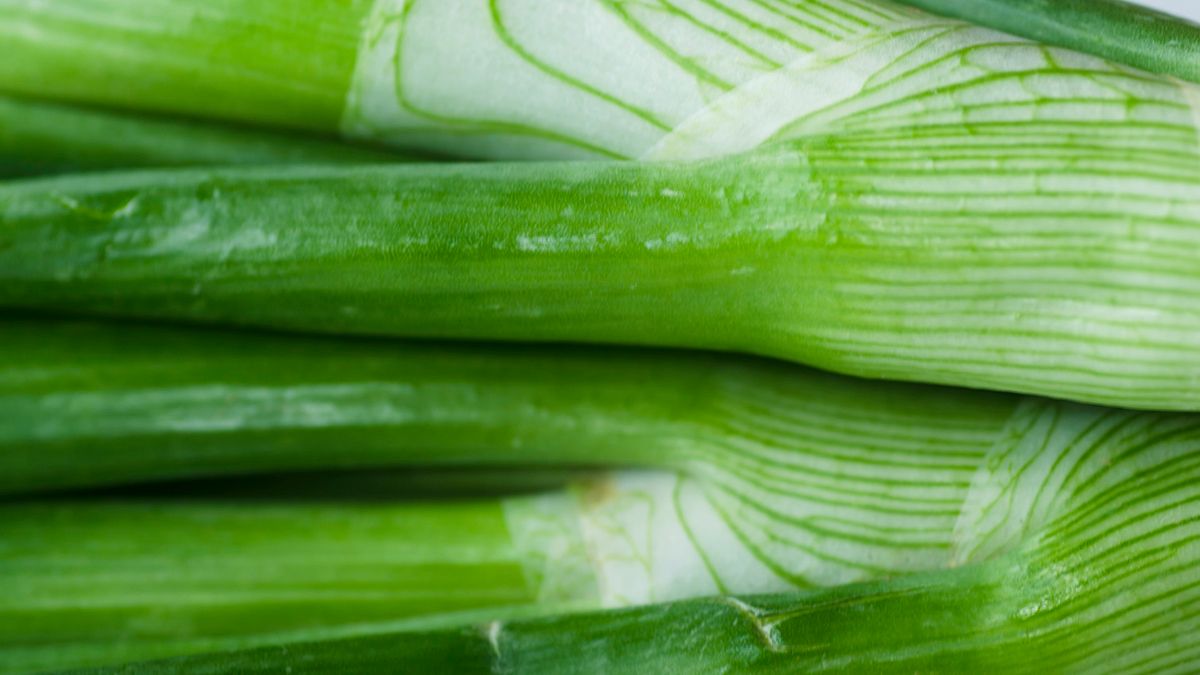 Jakie właściwości ma cebula dymka?