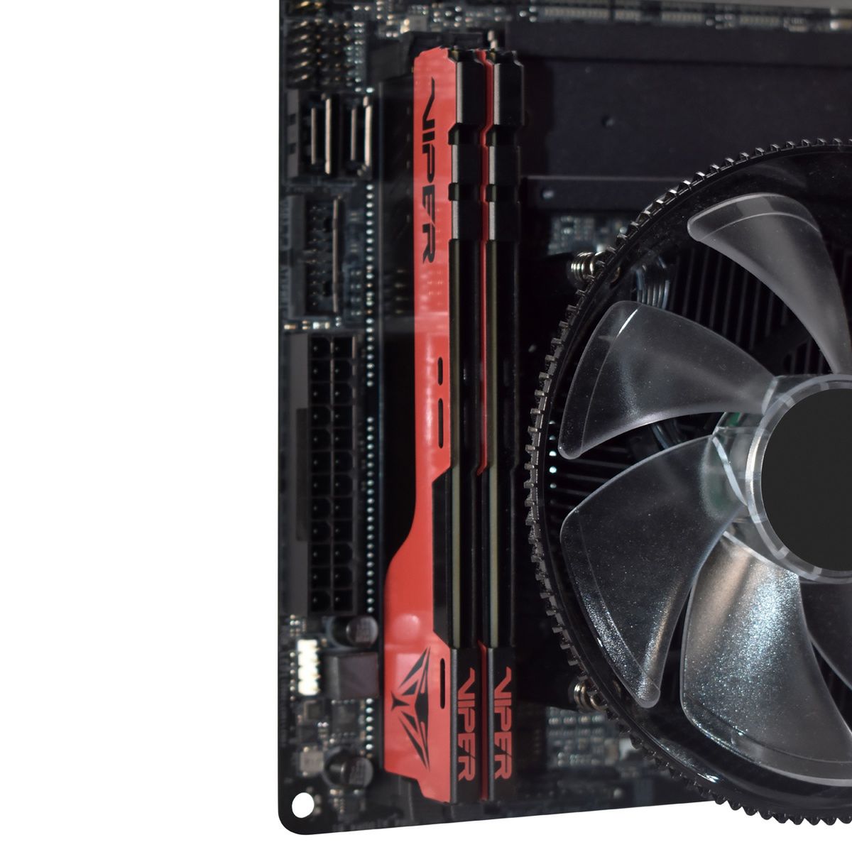 DDR4 - VIPER ELITE II PERFORMANCE MEMORY 