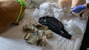 Warszawa: Pieniądze z hazardu zaszywali w pluszakach. Akcja służb