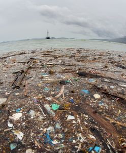 Wyspa śmieci na Pacyfiku 5 razy większa od Polski. "Niedługo w oceanach będzie pływać więcej plastiku niż ryb" 