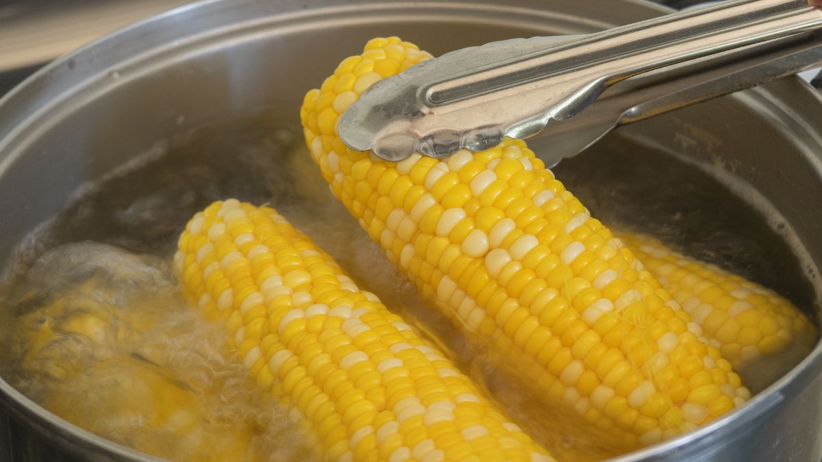 Gotowana kukurydza to smak lata
