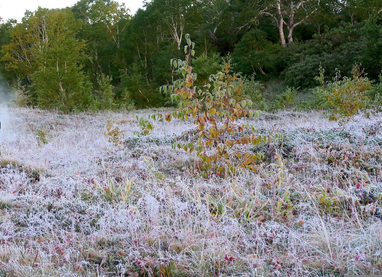 Mroźne noce, a w dzień nawet 18 st. C. Polska pod wpływem niżu