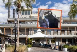 W stroju nurka napadł na restaurację. Szukają złodzieja z Orlando