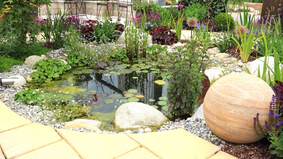 W środę ruszył program zachęcający do małej retencji. Można uzyskać 5 tys. zł wsparcia