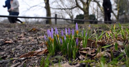 Pogoda. W weekend przebudzenie wiosny