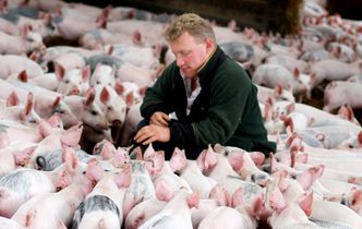 Rosyjskie embargo. Minister rolnictwa Niemiec twierdzi, że UE nie odczuje sankcji