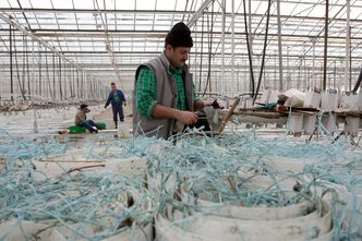 "Pensje obcokrajowców powinny być mniejsze". Co piąty Polak chce uzależnić wypłatę od narodowości