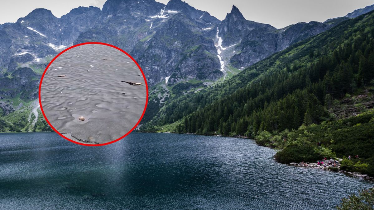 Topniejący lód na Morskim Oku ukazał śmieci