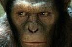''Rise of the Planet of the Apes'': Małpy przejmują planetę