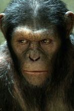 ''Rise of the Planet of the Apes'': Małpy przejmują planetę