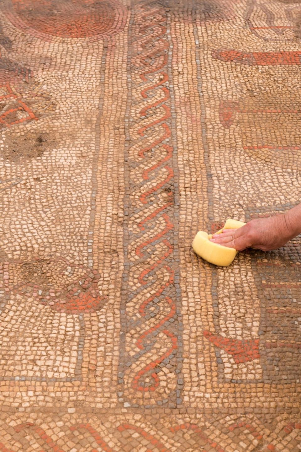 Mozaika sprzed 1700 lat znaleziona na farmie w Wielkiej Brytanii
