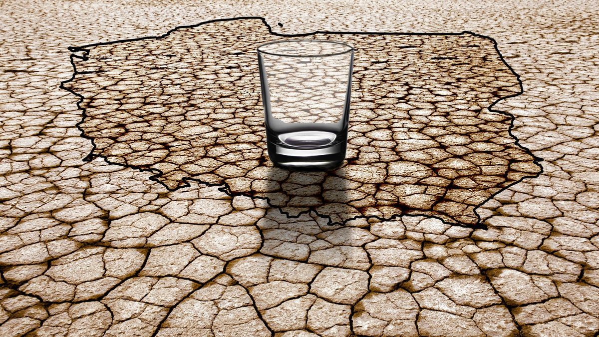 Pogoda na lipiec 2019: coraz większa susza pustoszy miejsca uprawy. Ceny produktów spożywczych wzrosną?