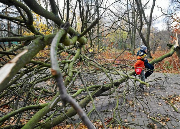Po wichurach 4,5 tys. mieszkańców południowej Polski bez prądu