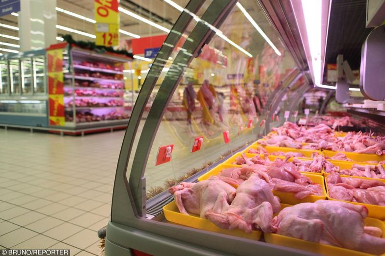 Brazylijskie kurczaki mogą być coraz większą konkurencją dla polskiego drobiu